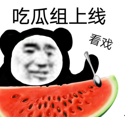 吃瓜公司的日常,揭秘日常生活中的趣味八卦 第1张 吃瓜公司的日常,揭秘日常生活中的趣味八卦 第1张